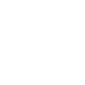 Niche Studio logo